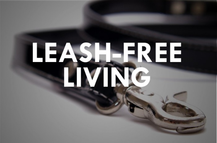 Leash-Free Living